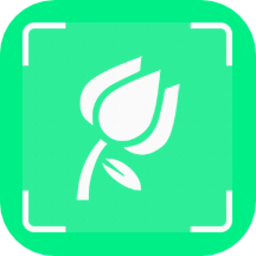 一起认植物最新版