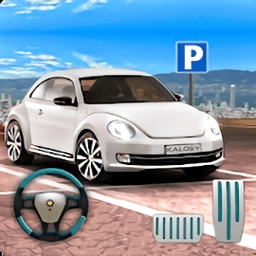 极限运动停车场游戏