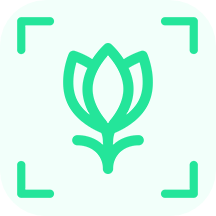 花卉识别app