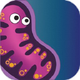 合并生物进化英文版(infinite evolution)