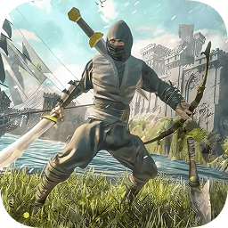 忍者刺客武士游戏