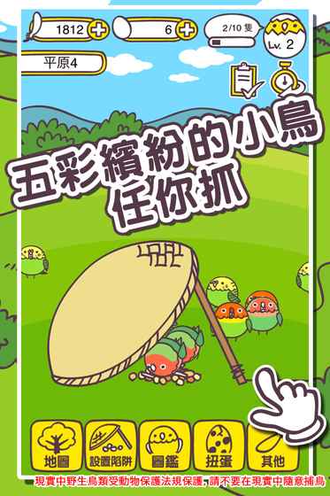 抓小鸟 抓小鸟