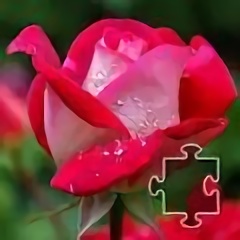 花卉拼图谜题官方版(flowers puzzle)