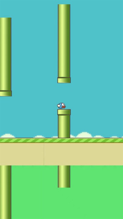 笨鸟努努最新版 笨鸟努努游戏下载