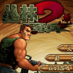 丛林奇兵2单机版