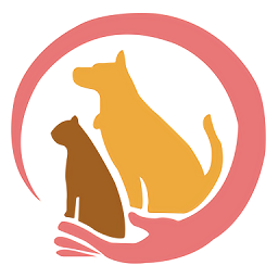 百速达宠物托运官方版