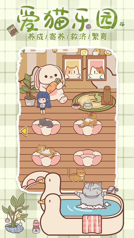 喵呜开门游戏下载