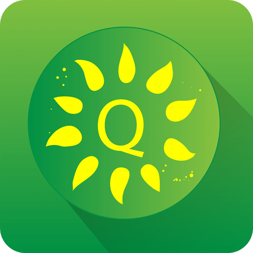 Quizii葵花籽软件