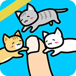 和猫咪一起玩游戏