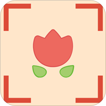 拍照识图君官方版