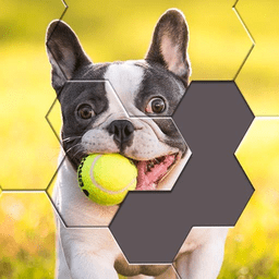 拼图来几把游戏