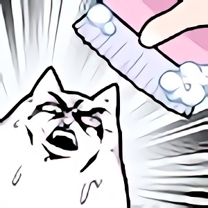 不想洗澡的猫官方版(catnowash)