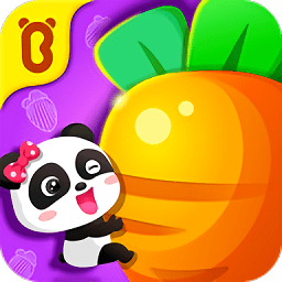 宝宝玩对比游戏电脑版